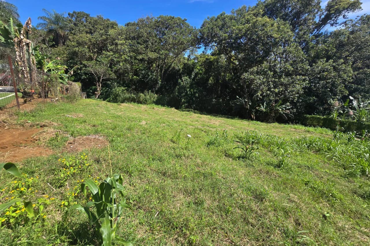 Land for sale in Tambor, Alajuela - photo 10