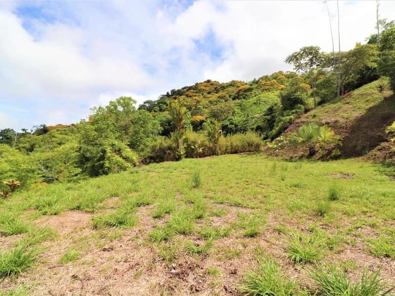 Captivating 3.15-Acre Property: Huge Pricedrop! Firesale Oceanview Lot in Tres Rios - photo 40