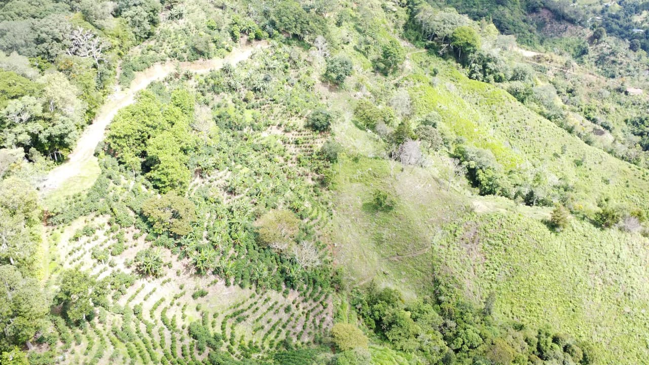 LOTE EN HERRADURA RIVAS.: Mountain Agricultural Land For Sale in San Isidro del General - photo 8