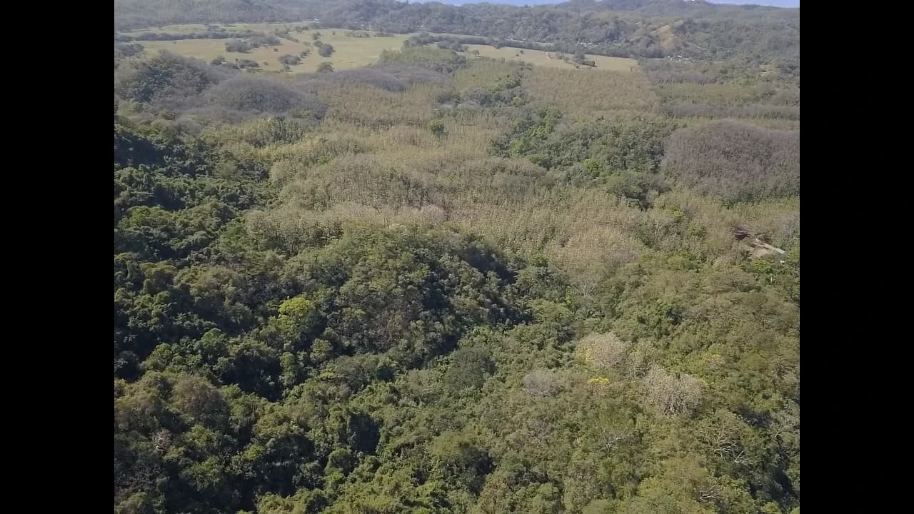 Finca Nora - Your Exclusive Tropical Paradise near Barrigona and Samara beach: Mountain Home Construction Site For Sale in Playa Samara - photo 12