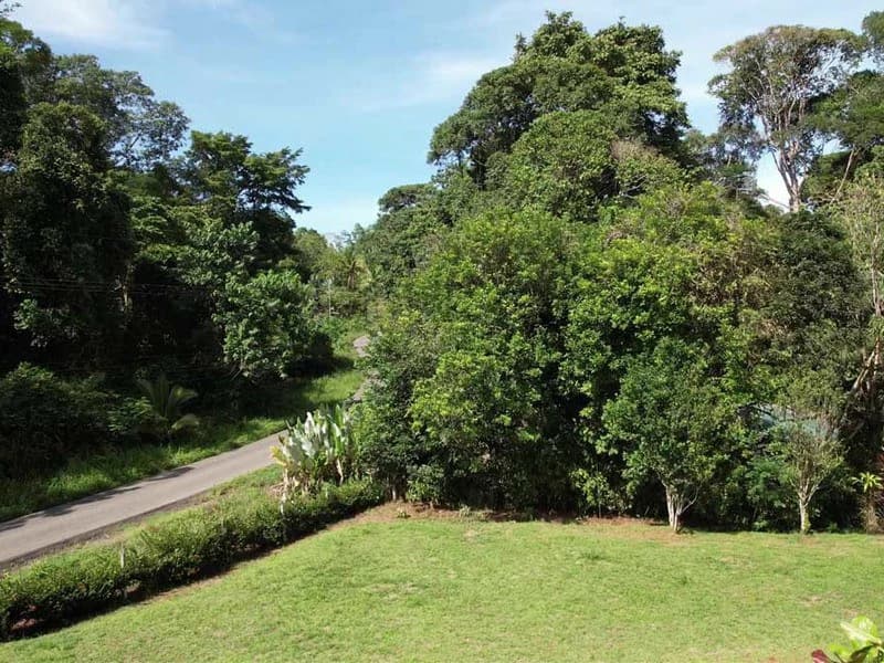 69.16 Acres Property | Mountain & Top Ocean View with Small Home - photo 19