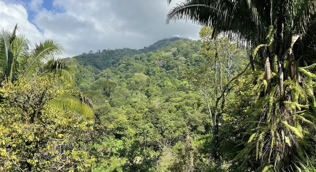 Exclusive Hermosa 1.2 Acre Lot with Panoramic Mountains and Ocean View. - photo 5