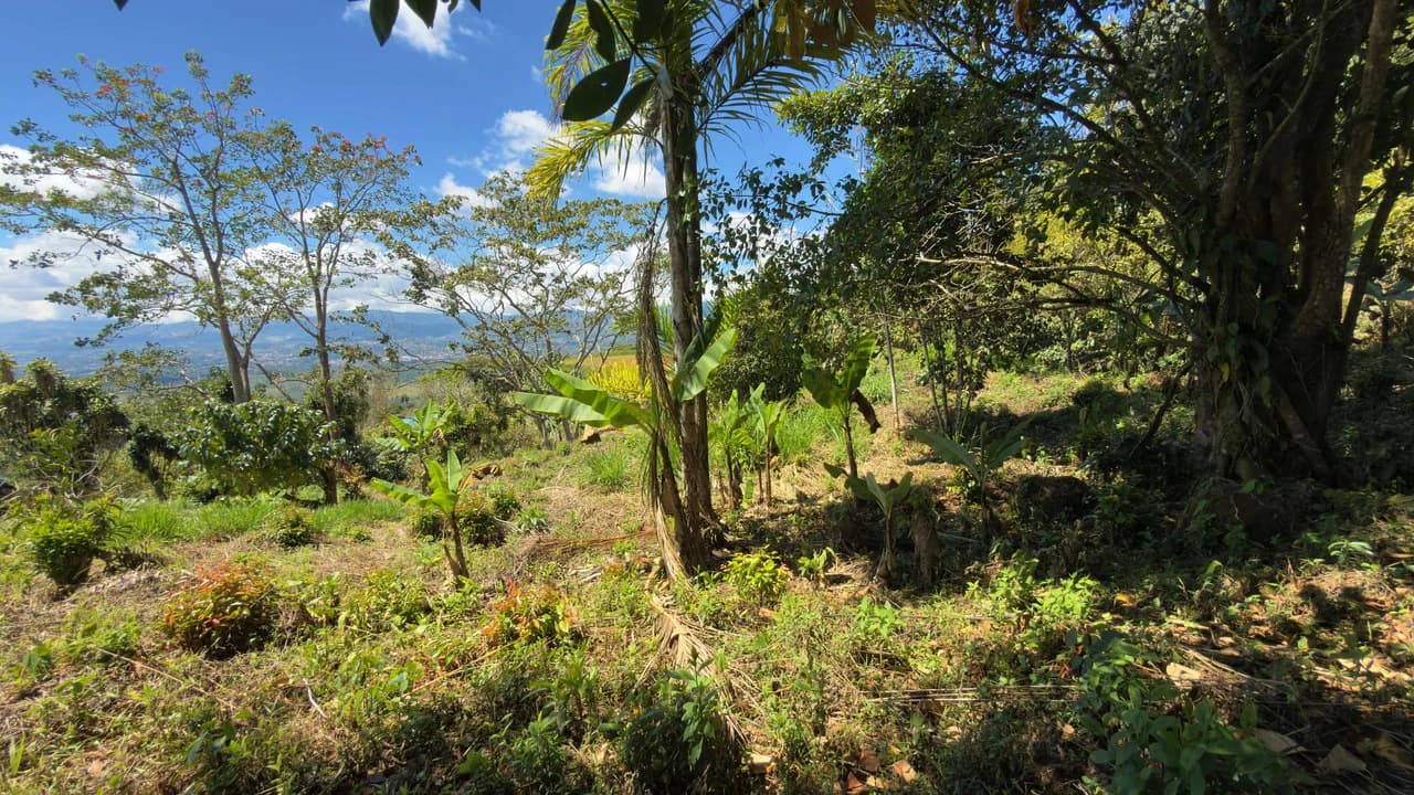 SE VENDE LOTE DE 1066M2, UBICADO EN MIRAVALLES, PEREZ ZELEDON.: Home Construction Site For Sale in Miravalles - photo 5