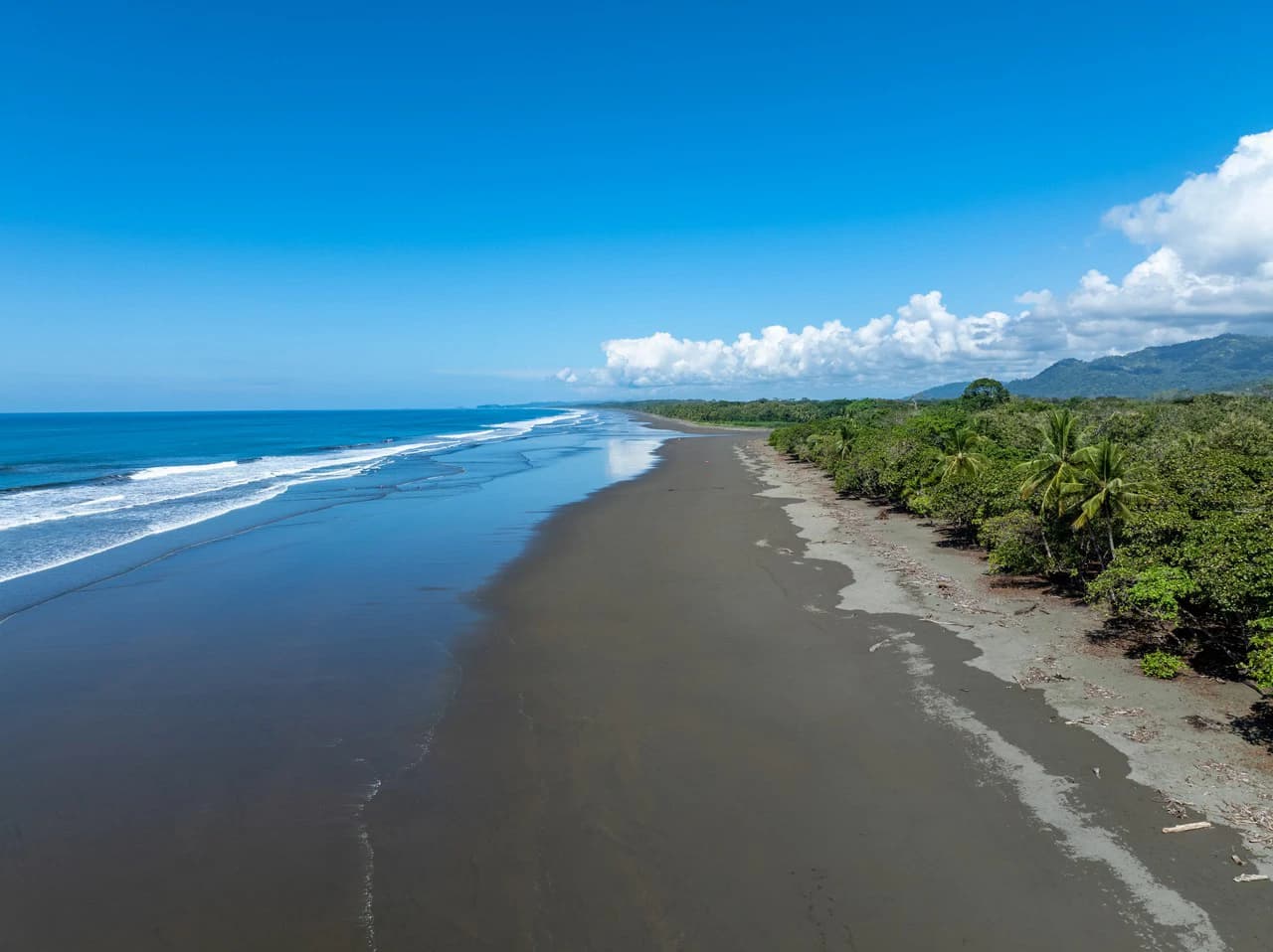 Exclusive Beachfront Opportunity south of Manuel Antonio Costa Rica - photo 8