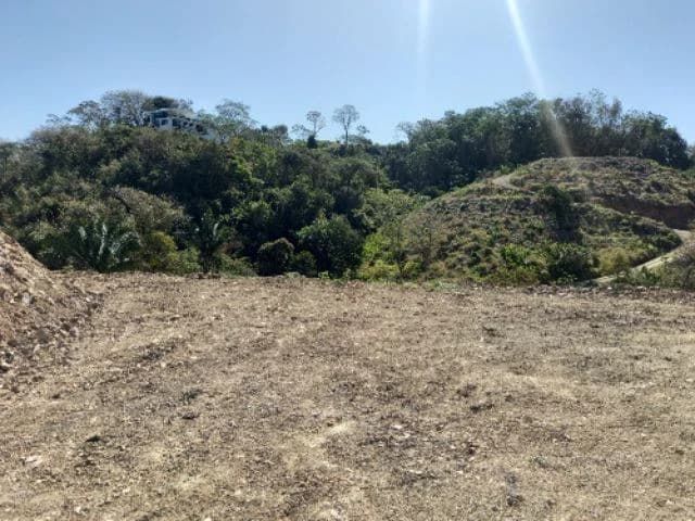 Building Lots for sale in a pristine and peacefull woodland 3 km from Samara Beach - photo 3
