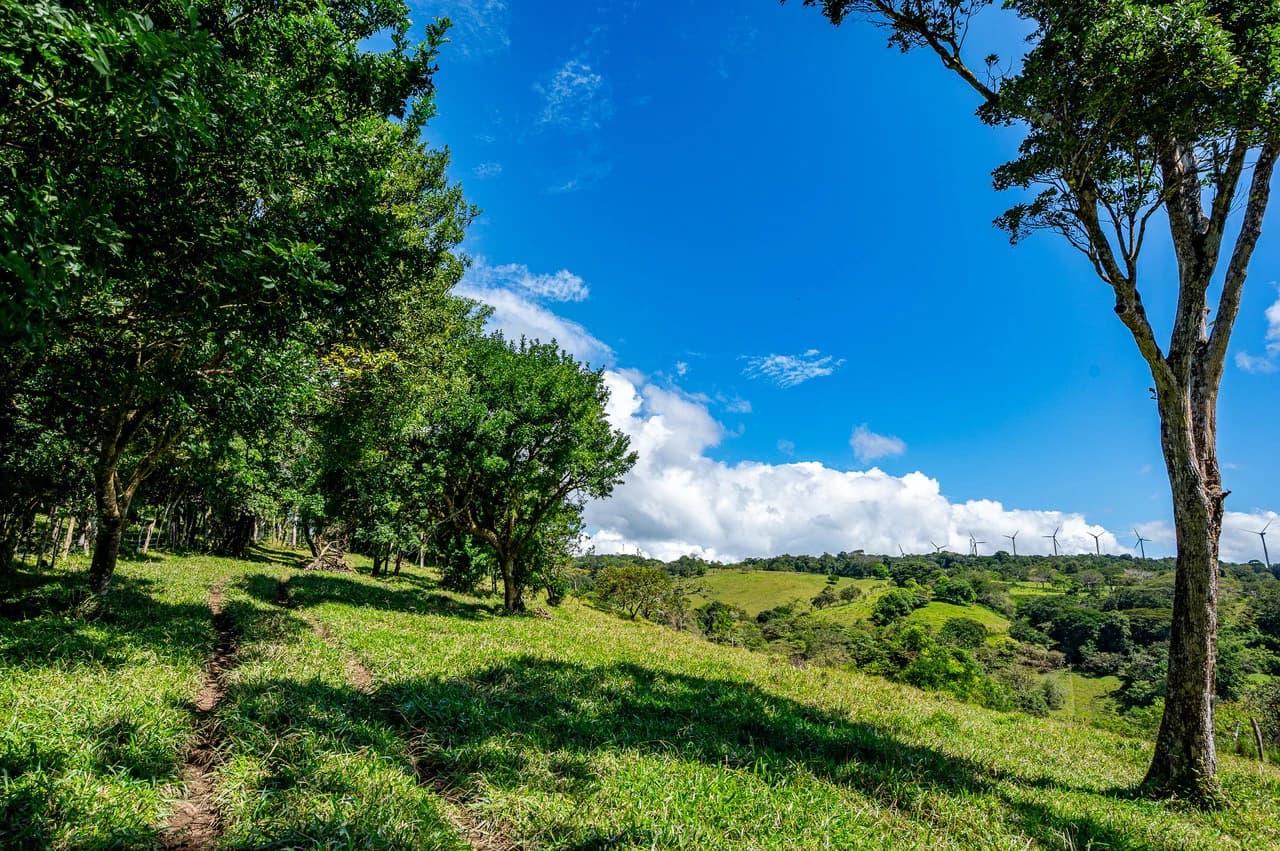 LA CABAÑA - 13+ ACRES & a TINY HOUSE & outstanding VIEWS - REDUCED PRICE - SELLER MOTIVATED - photo 32