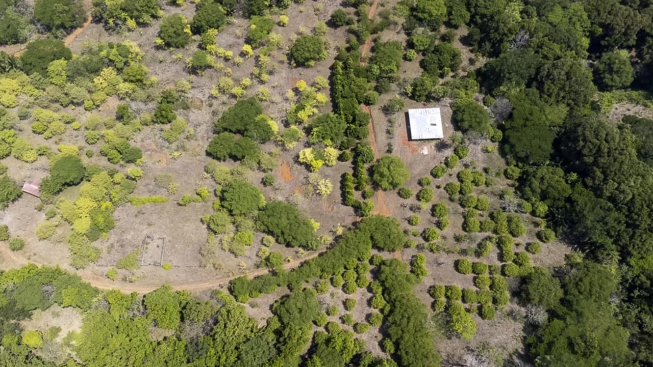 Farm for sale in Puntarenas Lepanto Costa Rica - photo 4