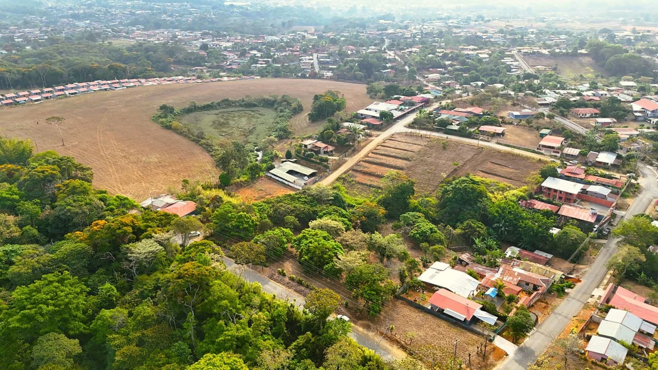 FRUIT TREE PROPERTY FOR SALE: Home Construction Site For Sale in San Isidro del General - photo 4