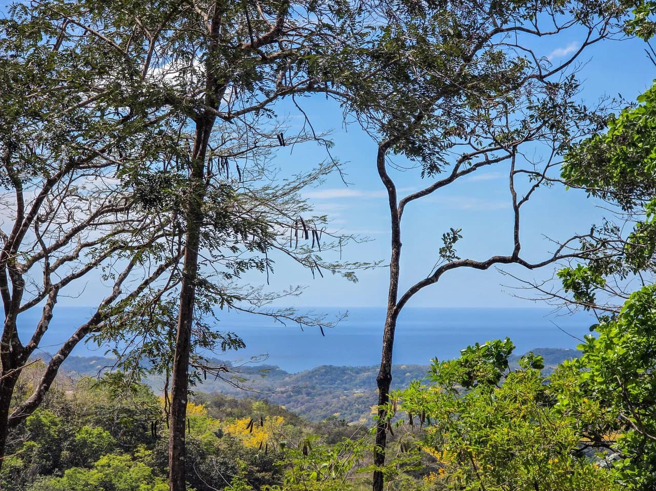 Mountain and Partial Ocean View Lot With Building Permits Approved - photo 5