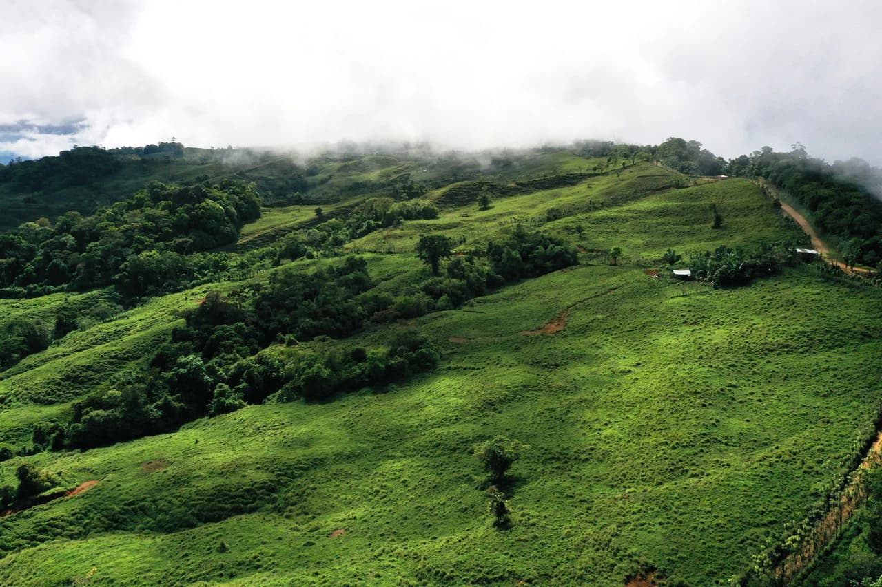 150 Acre Cattle Ranch with Panoramic Views Above the mountains of Uvita - photo 18