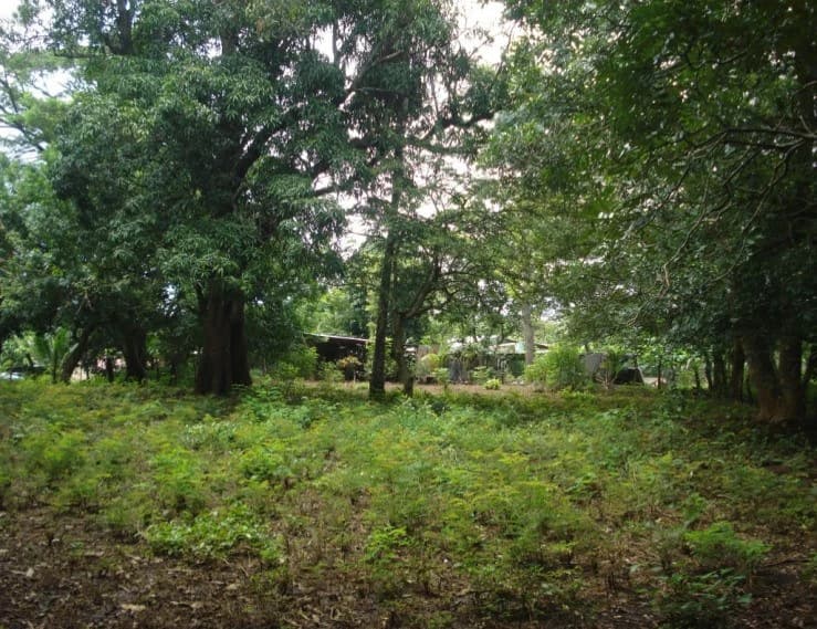 Property nearby the Waterfall, the International Airport of Liberia And the beaches of Guanacaste