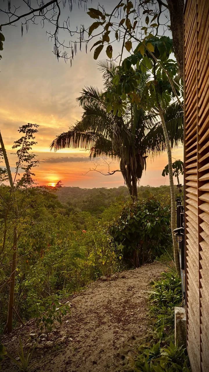 Casa Lilith: $1.39 Million - Luxury Jungle Estate with Guest House in The Ark Community, Santa Teresa Costa Rica - photo 99
