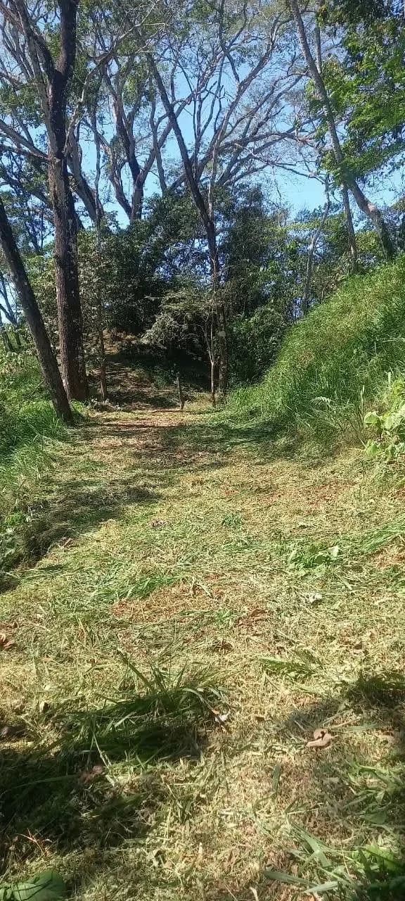 $2,200,000USD hectares: Ocean View Development Land for Sale in Tambor Costa Rica – 58 Hectares on the Nicoya Peninsula - photo 11