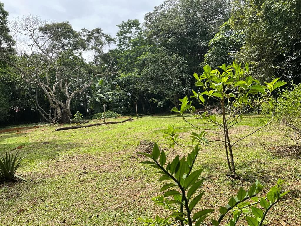 PROPIEDAD PARA INVERSION SABANA LARGA ATENAS: INVESTMENT PROPERTY - photo 7