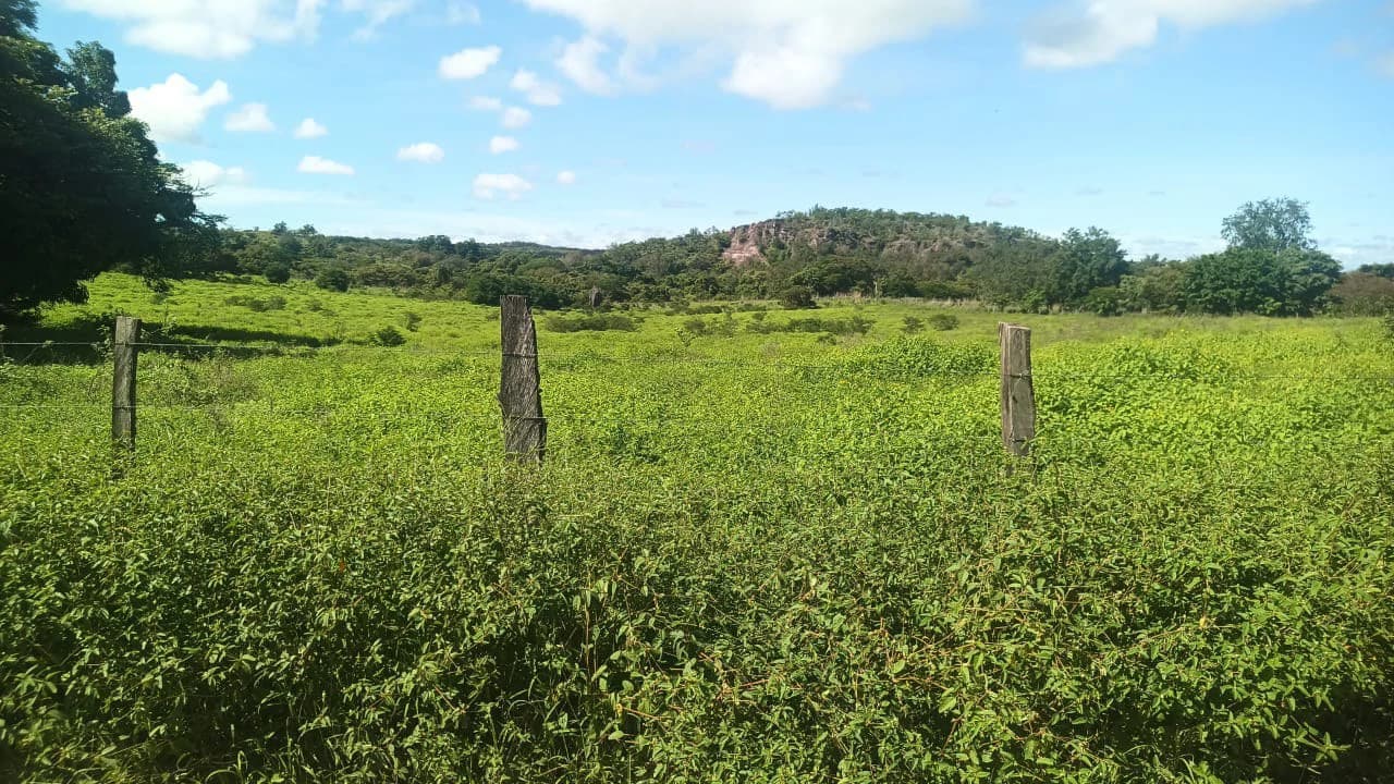 Riverfront, Mountain and Countryside Agricultural Land For Sale in Cañas Dulces - photo 4