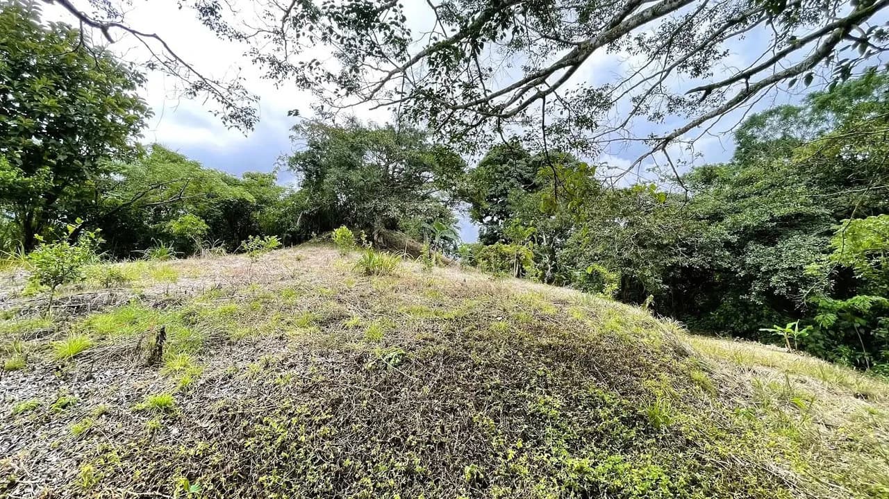 LAND FOR SALE IN SAN MIGUEL, NARANJO - photo 17