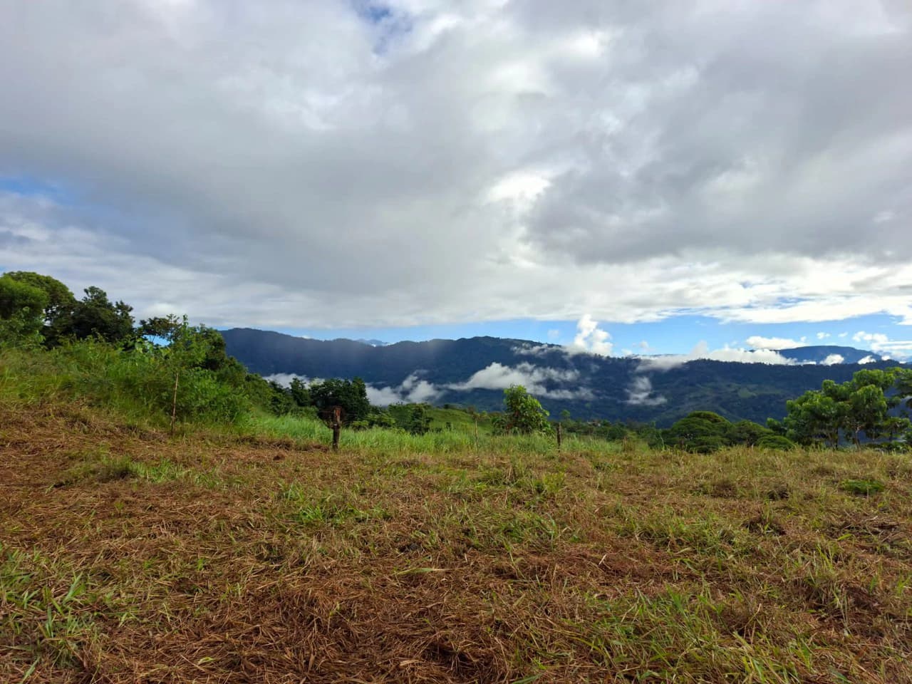 Off-Grid Ocean View Lot | 1.7 Acres in Las Nubes Matapalo Hills - photo 18
