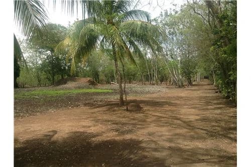 Commercial land in Guanacaste 0.87ha : 900701029-120 - photo 7