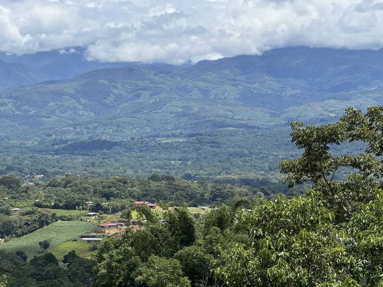 Prime 40,000 Sq. Ft. Building Lot with Mountain & Valley Views in Pérez Zeledón