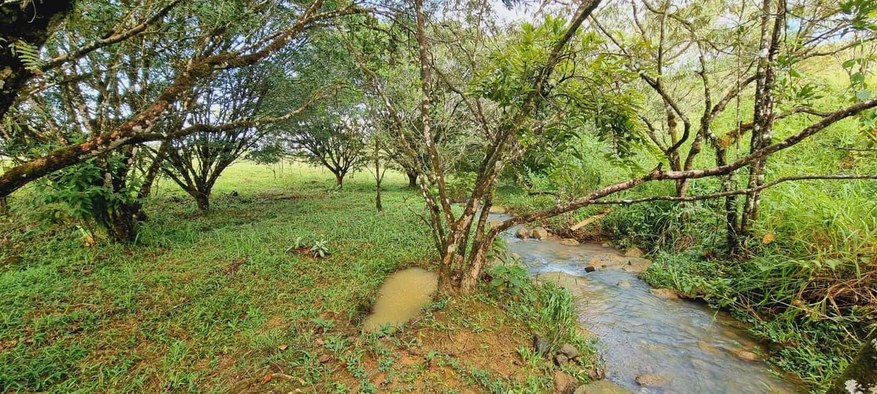 Lote 46 RISE: BEAUTIFUL 1.37-ACRE LOT WITH CREEK FOR SALE IN THE HEART OF THE RESIDENCIAL RISE, SANTA ELENA - photo 6