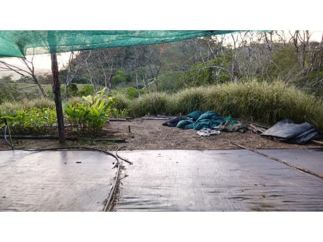 Exclusive lot for sale in Hojancha's green, tropical, rolling mountains, just 3 minutes from town - photo 7