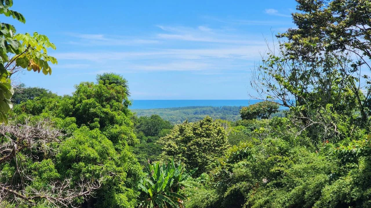 1.25 ACRES – Stunning Ocean View Oasis: Exclusive Property With Premium Amenities!!!! - photo 3