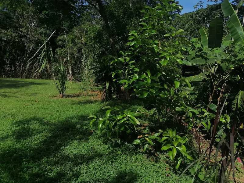 69.16 Acres Property | Mountain & Top Ocean View with Small Home - photo 33