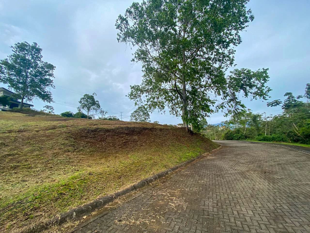Lot for sale in Hacienda Natura Condominium- Naranjo - photo 5