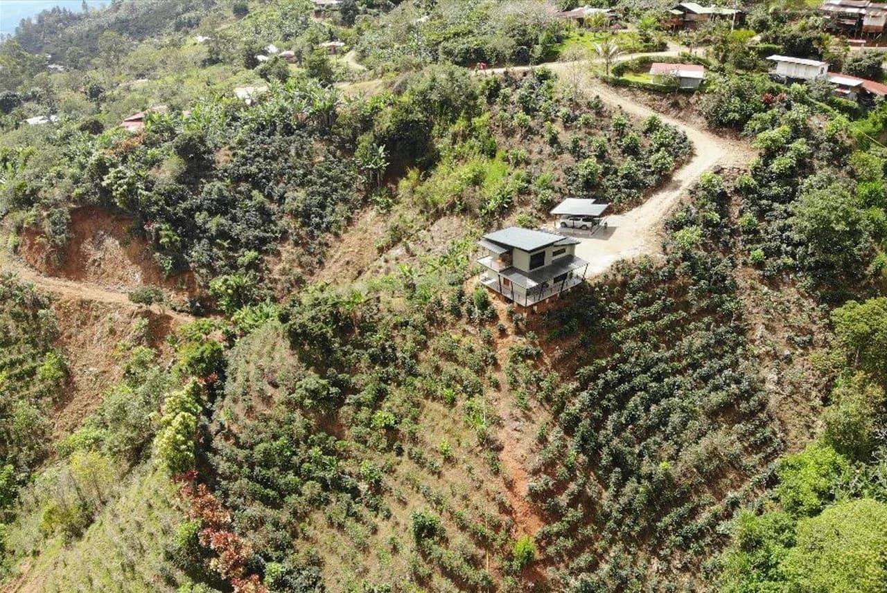 Modern Country House with Guest Cottage Amidst a Coffee Plantation in Perez Zeledon, Costa Rica - photo 7