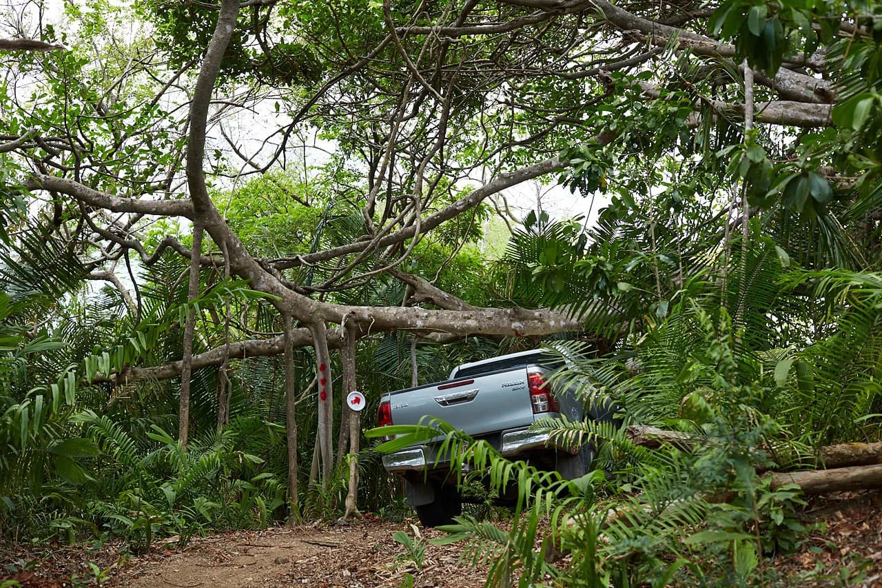 Finca Gomez: 214 Hectares | Ocean Views, Rivers & Development Potential – Guanacaste - photo 9