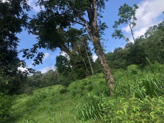 Hot and Cold Thermal Springs for Sale – Beautiful Property in Dos Ríos, Alajuela with Excellent Commercial Potential - photo 42