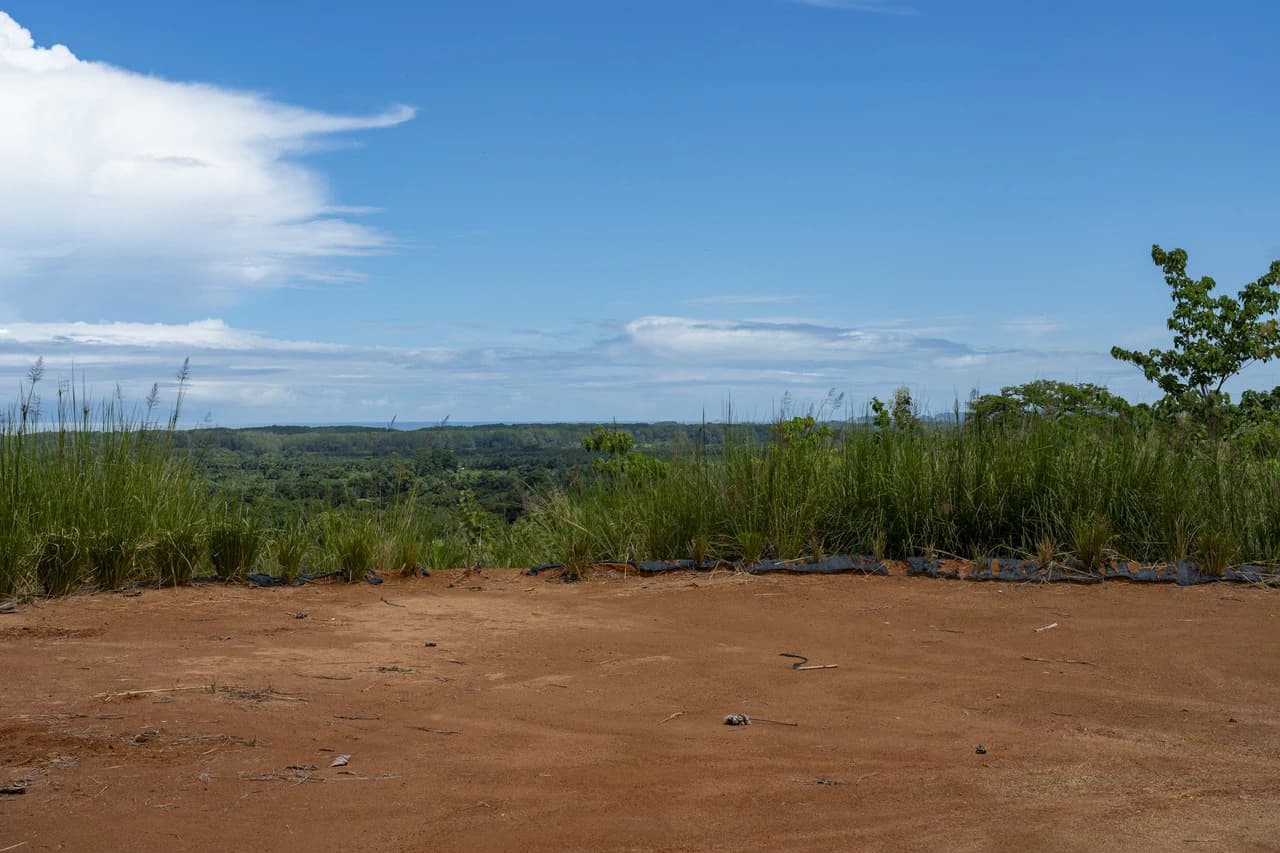 New Gated Development in Matapalo - Ocean View and Flat Land, ready to build! - photo 24