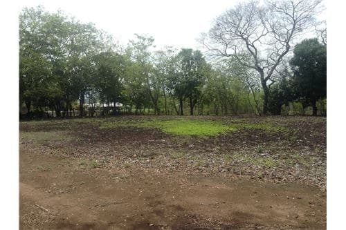 Commercial land in Guanacaste 0.87ha : 900701029-120 - photo 11