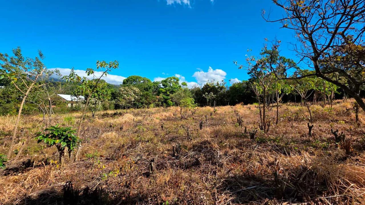 Lot for sale in Grecia, Costa Rica - photo 4