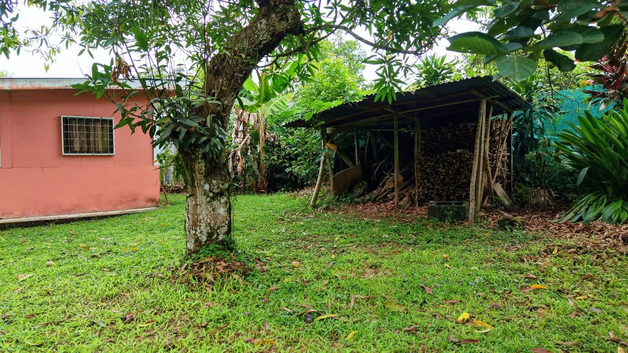 LOTE PLANO CON FRUTALES: Mountain Home Construction Site For Sale in General Viejo - photo 13