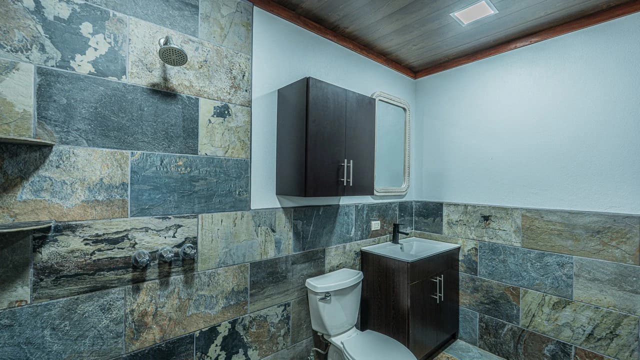 Completely Renovated 5 Bedroom Home in the Heart of San Isidro - photo 29