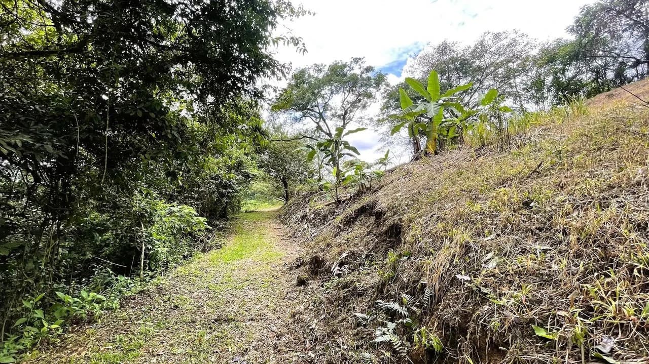 LAND FOR SALE IN SAN MIGUEL, NARANJO - photo 5