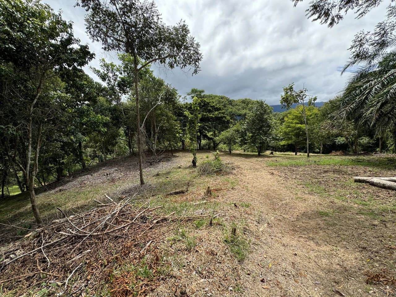 Diamante Waterfall View Land in Dominical 2.9 Acres - photo 14