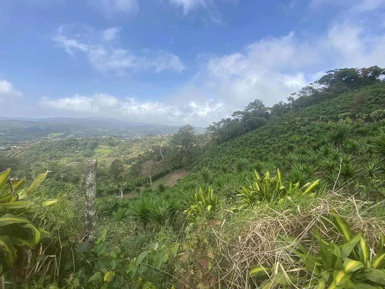 Farm with Exceptional Potential for Sale in San Ramón, Alajuela