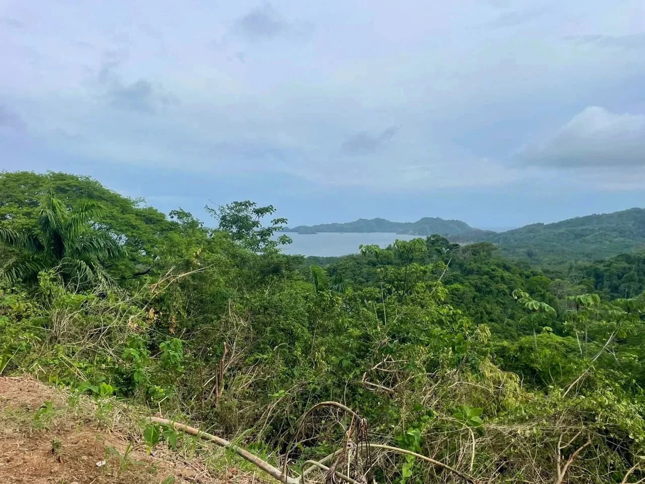 $250,000 USD EXCEPTIONAL 5,608 m² (1.39-acre) property: 1.39-Acre Ocean View Property, Near Paquera & Isla Tortuga