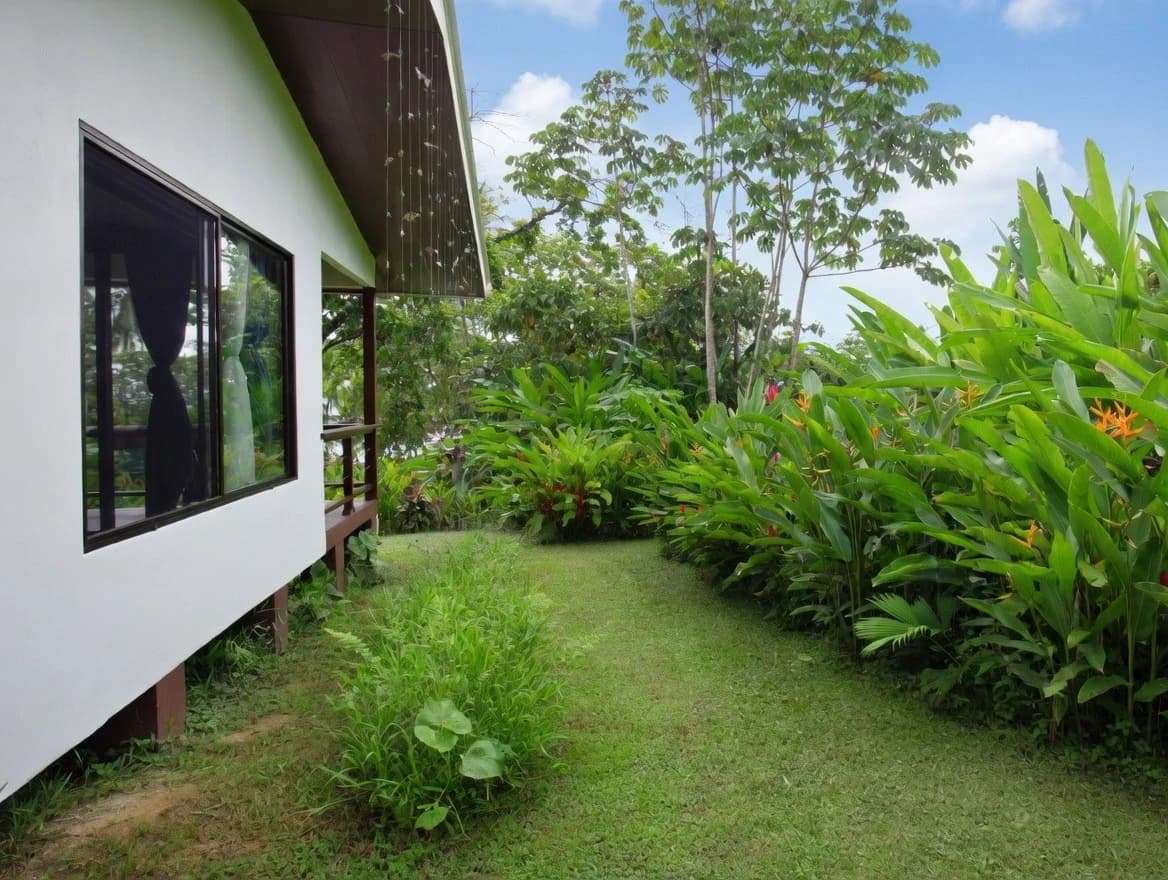 Casa Bromelia: Drake Bay Beachfront Paradise Property Near Corcovado - photo 13