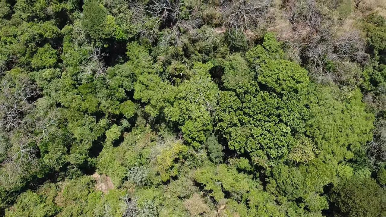 Ocean view property for sale Rodeo Ciudad Colon San Jose Costa Rica - photo 24
