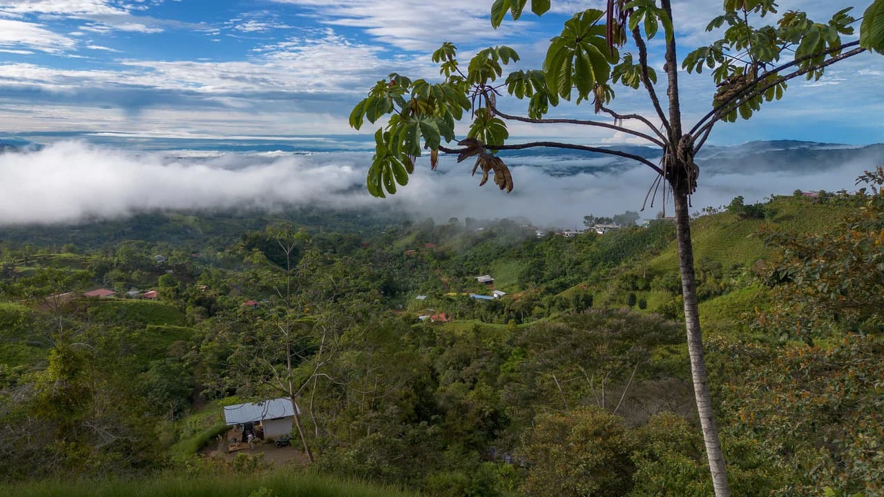 10.21 Acres with Views & Plantels – Pérez Zeledón - photo 23