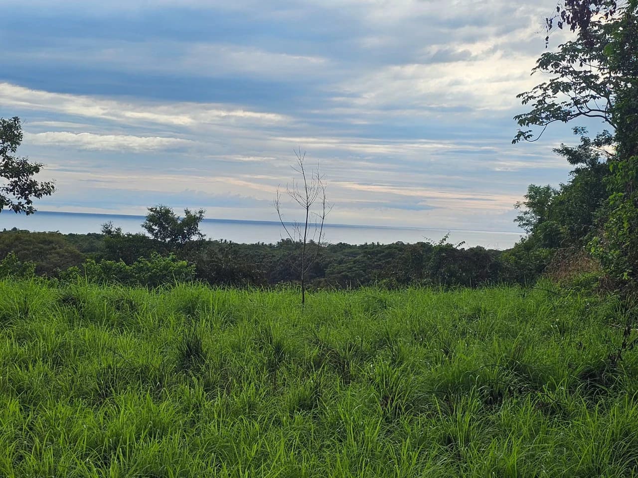 Ocean View Lot for Sale Guanacaste Costa Rica San Miguel Beach Tittled - photo 11