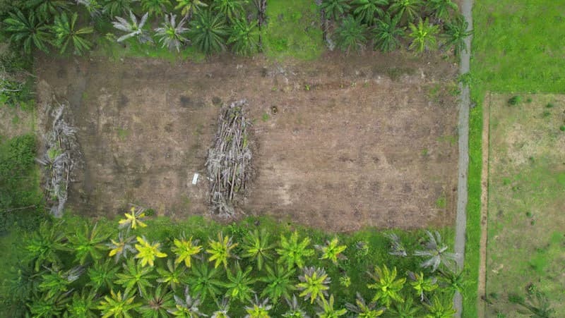 1.45-Acre Lot with Excellent Location in Canaza de Puerto Jimenez - photo 2