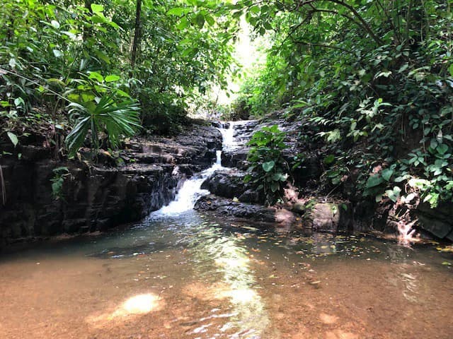 6.5 ACRES – Space To Grow, Build & Thrive, Close To The Beach & Commercial Potential Road Frontage!!!!!: Mountain and Countryside Development Parcel For Sale in Platanillo de Dominical - photo 12