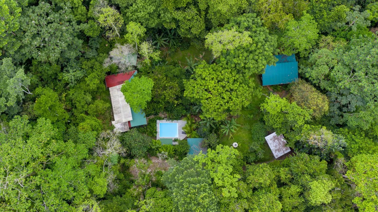 4 Bd/3 Ba - Two Caribbean Homes w/ Pool, on 5000m²: Dual Home Jungle Property in Punta Uva - photo 4