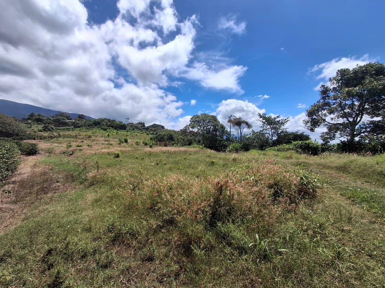 Flat Development Parcel: 4 ha Prime Flat Land - photo 11
