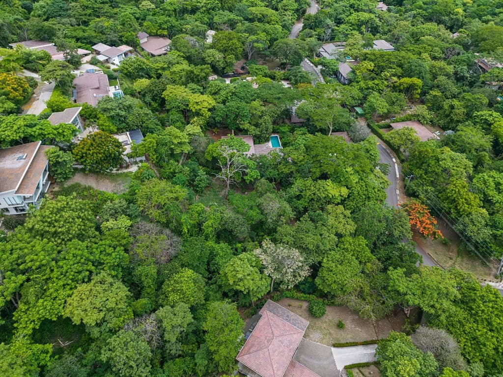 Lot 24 Cara Cara: Exceptional Forest Homesite in Las Ventanas de Playa Grande - photo 6