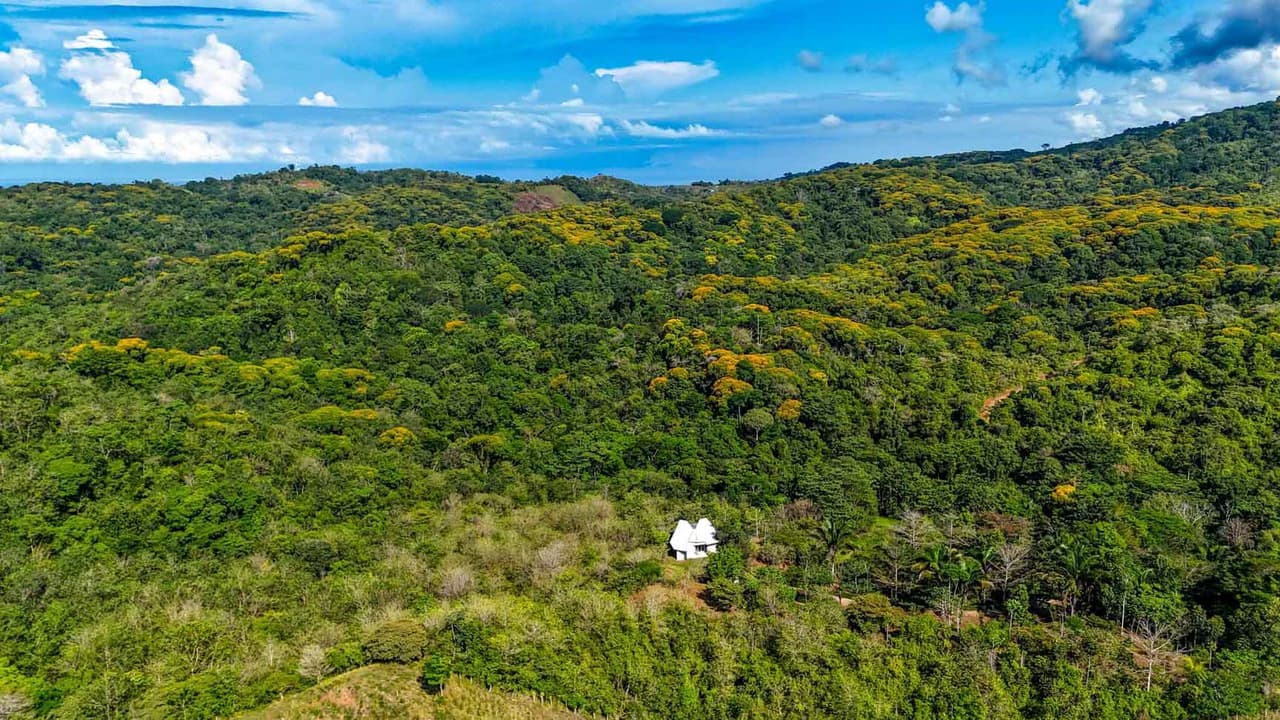 32 Acre Self Sustainable Farm with House Close Ojochal - photo 46